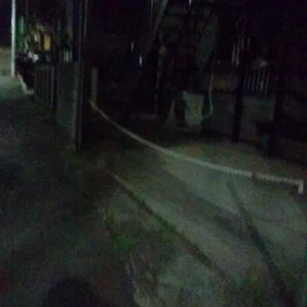 横浜保土ヶ谷区フェレット(更新中)の画像