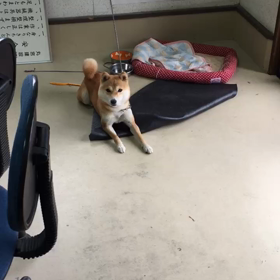 まだまだkohの事知ってほしいな！の画像