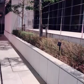 *☻☻☻☻*の画像