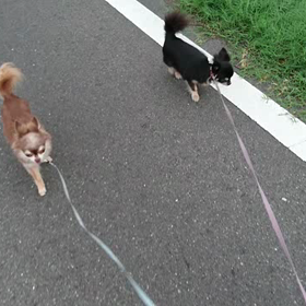 今日も元気です。の画像