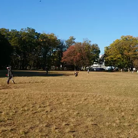 ジャベリック記録会⑥の画像