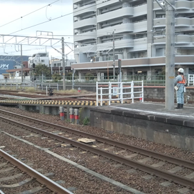 Ｅ２６１系 サフィール踊り子甲種輸送の画像
