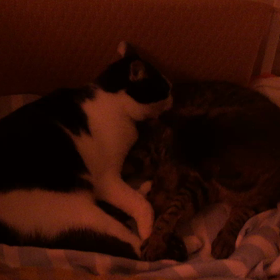 いつものラブラブな二人の画像