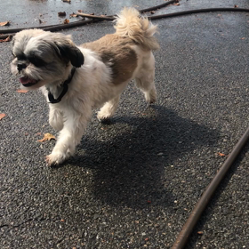 ランウェイ24 第4話の画像