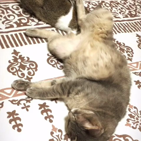 お股から…ハイっっっ♡の画像