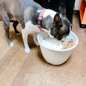 変わらずにありたいことの画像