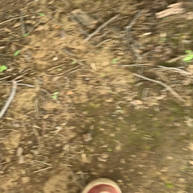 2023/05/28 サブロー分峰疑い？の画像