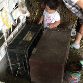 猪名川農業女子PJの画像