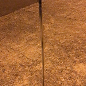 太刀魚vs DAISOルアーの画像