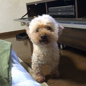 1月のあなたはブロンズランクでした！の画像