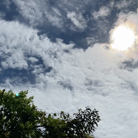 “自然と音遊び” プロジェクト vol.044！の画像