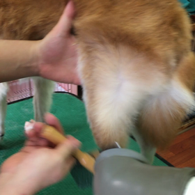 もう少しするとの画像