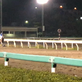 12レースのゴールの画像