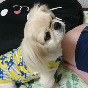 20170829 訓練！？の画像