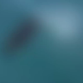 石垣島ダイビング！海人石垣島の画像