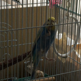 そんなに面白いの？の画像