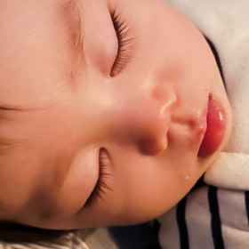 約1年前の動画の画像