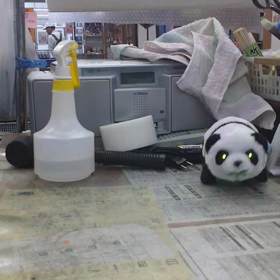 あやしいパンダの画像