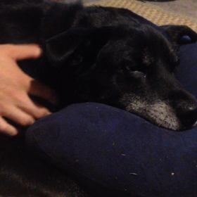 気持ちいいですの画像