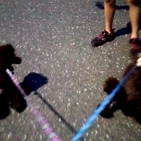 大騒ぎ(><)の画像