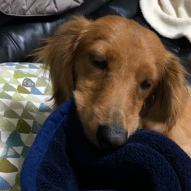 顔全体で噛む…の画像