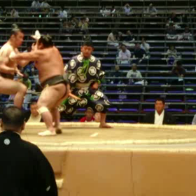 平成28年名古屋ムービー①の画像