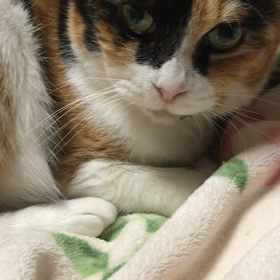 目ヂカラの画像