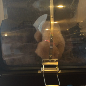 ⬛️3/15〜3/21＊酸素カプセルご利用のお友達⬛️の画像