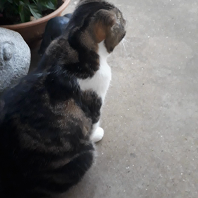 何か用？の画像