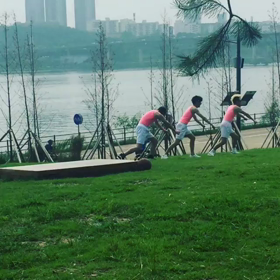 フンちゃんインスタ動画の画像