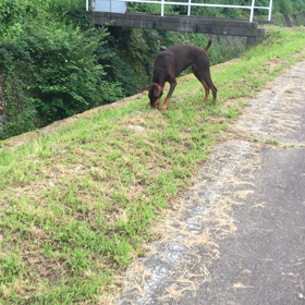 Cooさんありがとうございますの画像