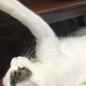 かわいいの画像