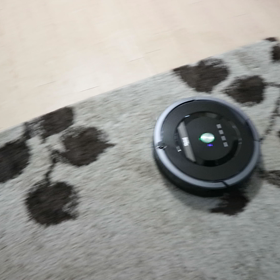 マックスVSルンバの画像