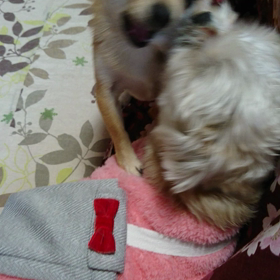 これは……の画像