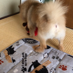 やっと元気になったの画像