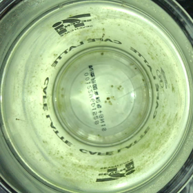 子メダカ誕生の画像