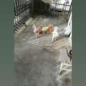 わくわく｡*ﾟ♬の画像