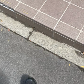 朝のお出迎え！の画像