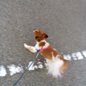 さすけくん、こうめちゃんの画像