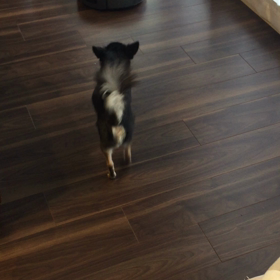 顔合わせの画像