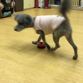 ひめる編。の画像