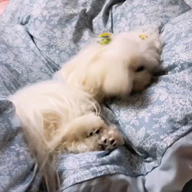 旦那が居る！Σ（￣□￣;）の画像