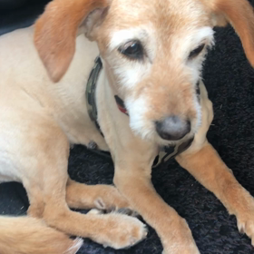 ５月2日宿命鑑定佐賀にて受けられますよー！あと一枠！の画像