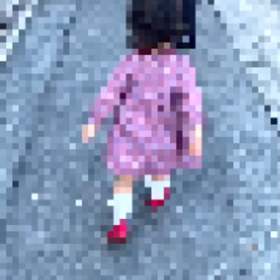 ダッシュダッシュの画像