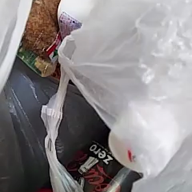 Z2東○店動画でどうだの画像