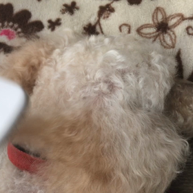 身だしなみの画像