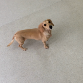 ♪プレイルーム動画♪①の画像