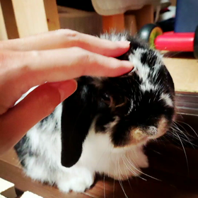 ありがとう平成の画像