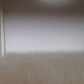 今夜は反応なしの画像