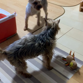 いろいろありました。の画像